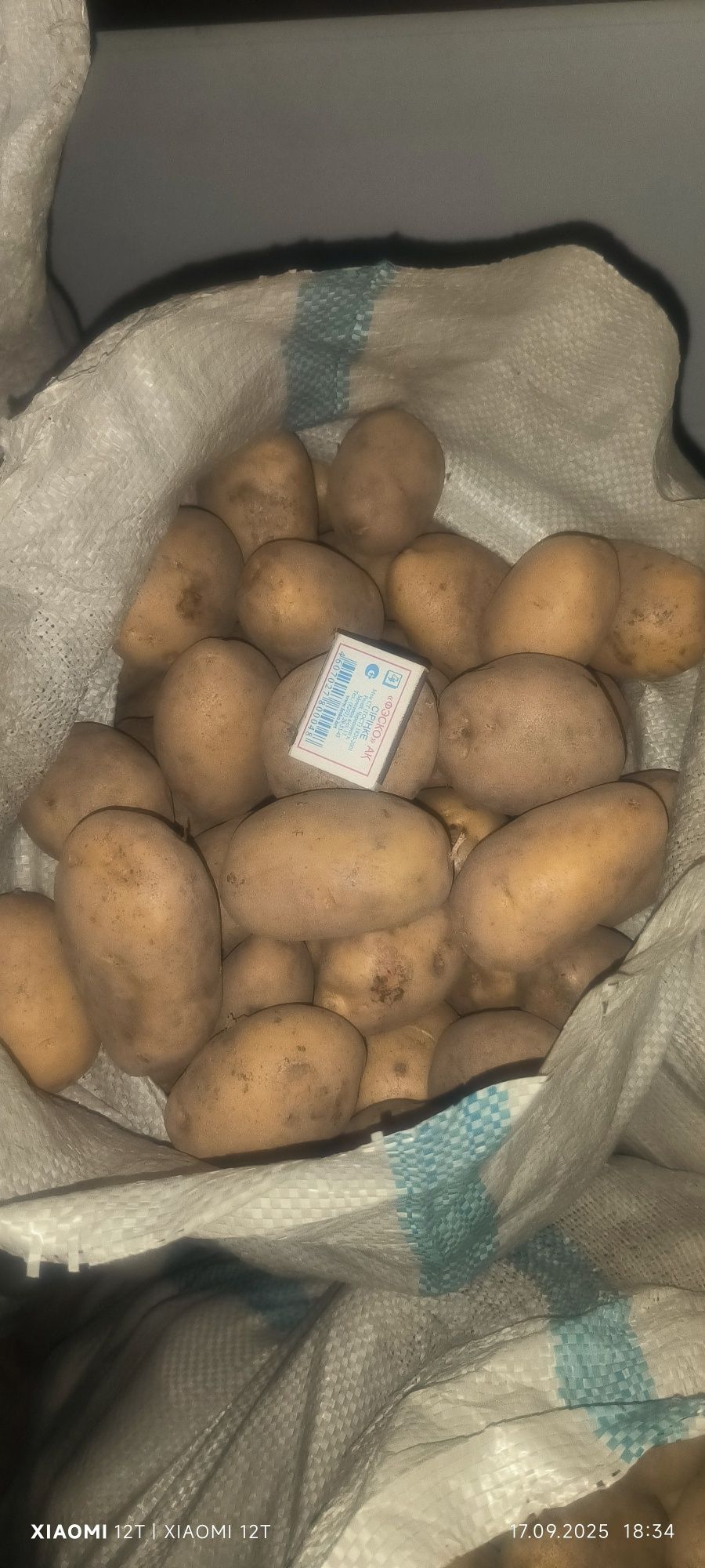 Продам домашнюю картошку