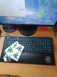 Клавиатура Razer Ornata V2