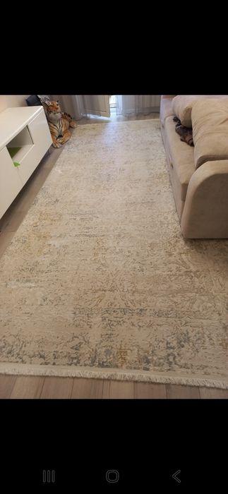 Продам ковёр 2×4 б/у. Требует химчистки.