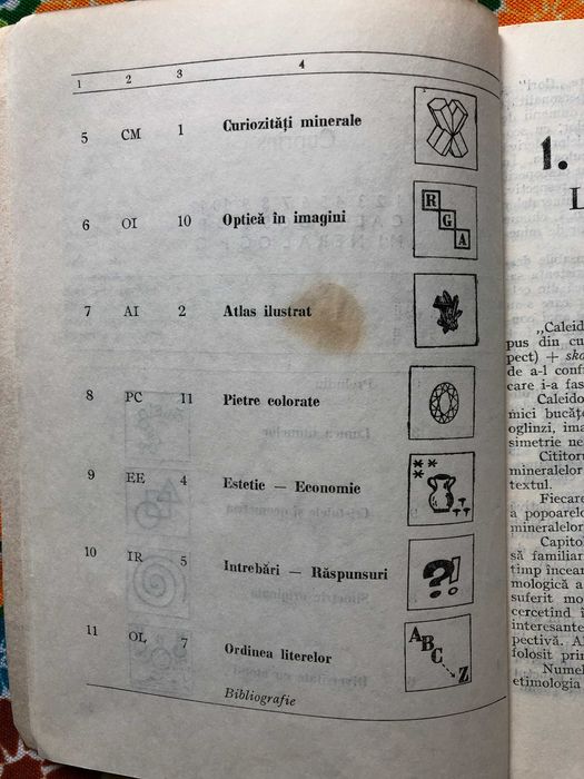 Rodica Apostolescu : Caleidoscop mineralogic