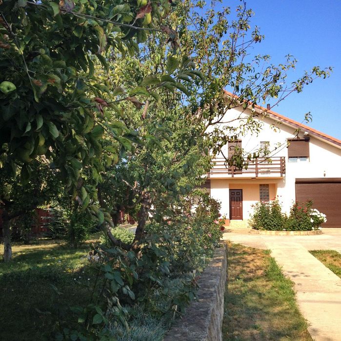 PF Casă renovată 2024, panouri solare, teren 2100 mp, Lunca Cetatuii.