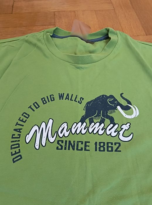 Мъжки тениски Mammut, Arcteryx