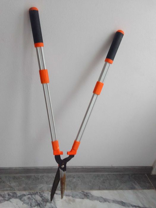 vand foarfeca gard viu regalbila