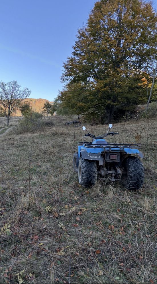 Yamaha atv 250cc  2x4