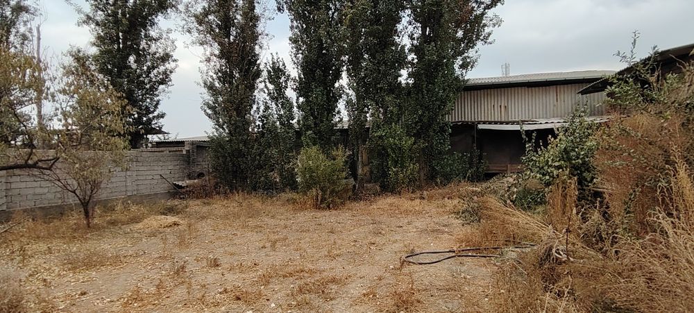 Yer sotiladi 3 sotix