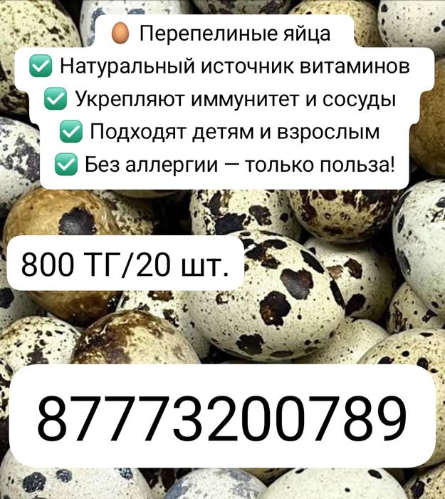 Перепелиные яйца