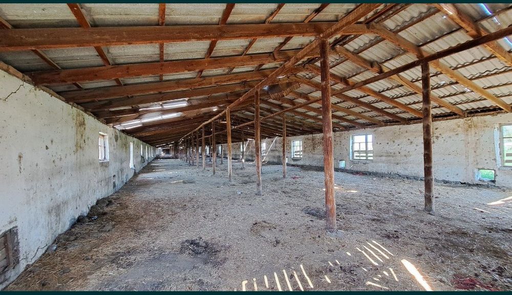 Ferma chorvachilik uchun eng arzon narxda shoshiling