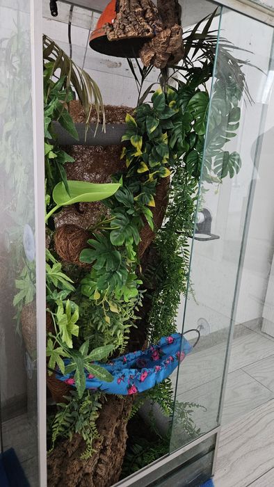 Terrariu de vanzare