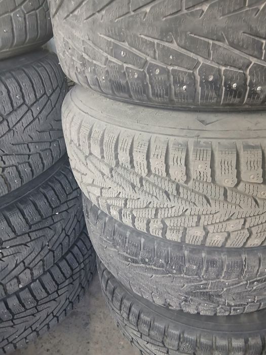 Шины зимний нокиан
