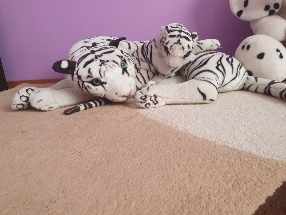 Plusuri mari 100 lei