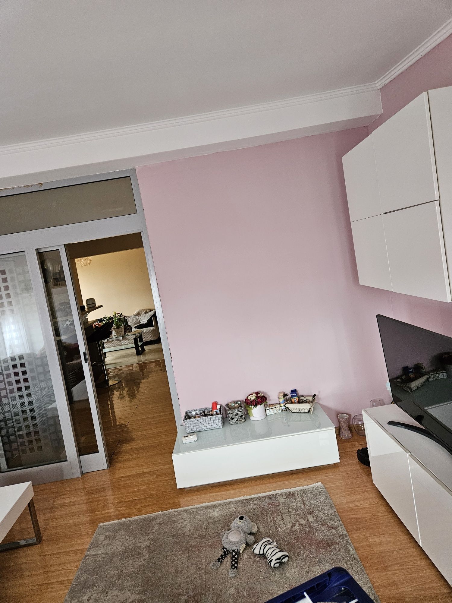 Vând apartament cu 2 camere la intrare în Moșnița Nouă