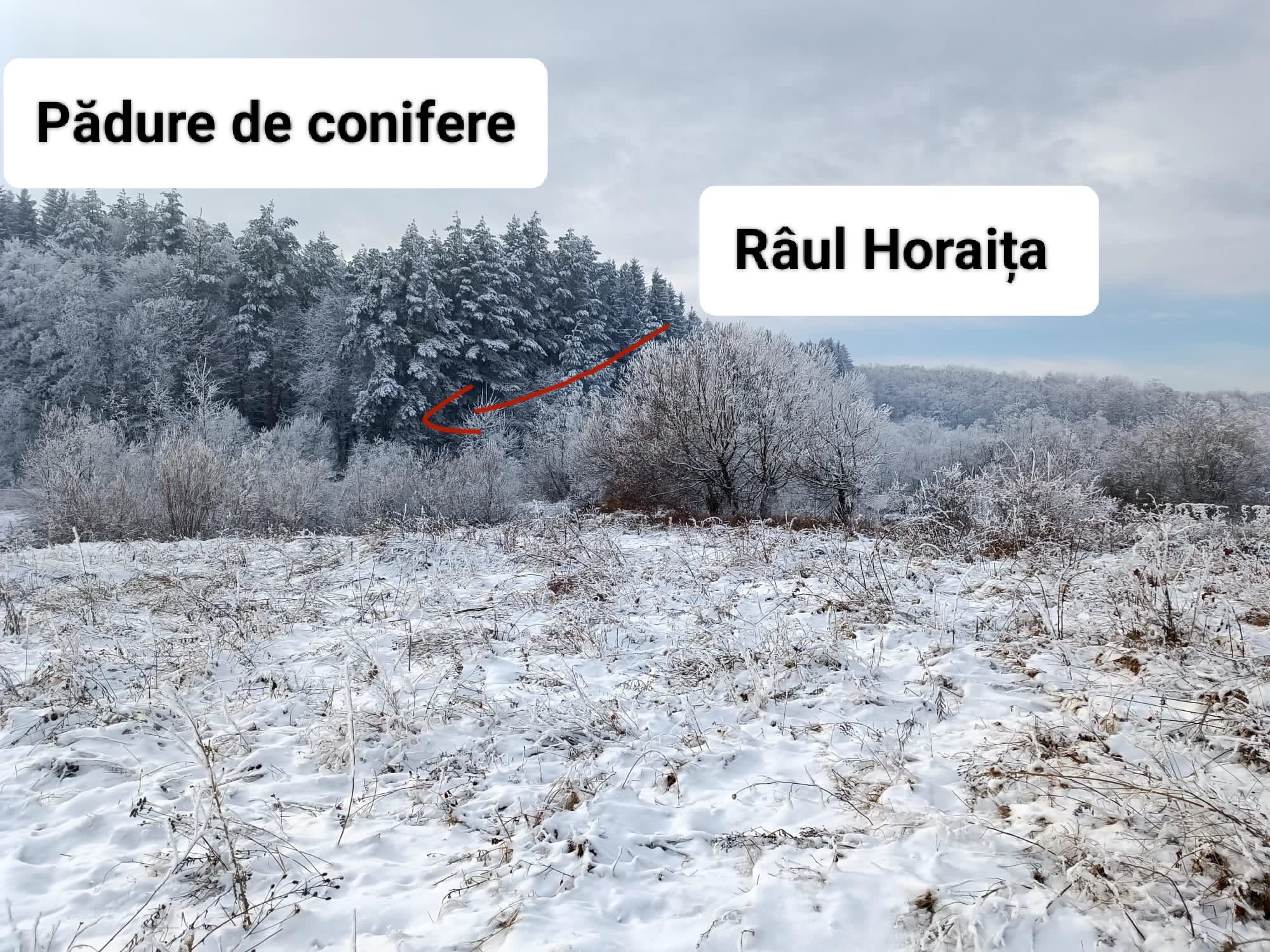 Teren intravilan cu râu, lac și heleșteu