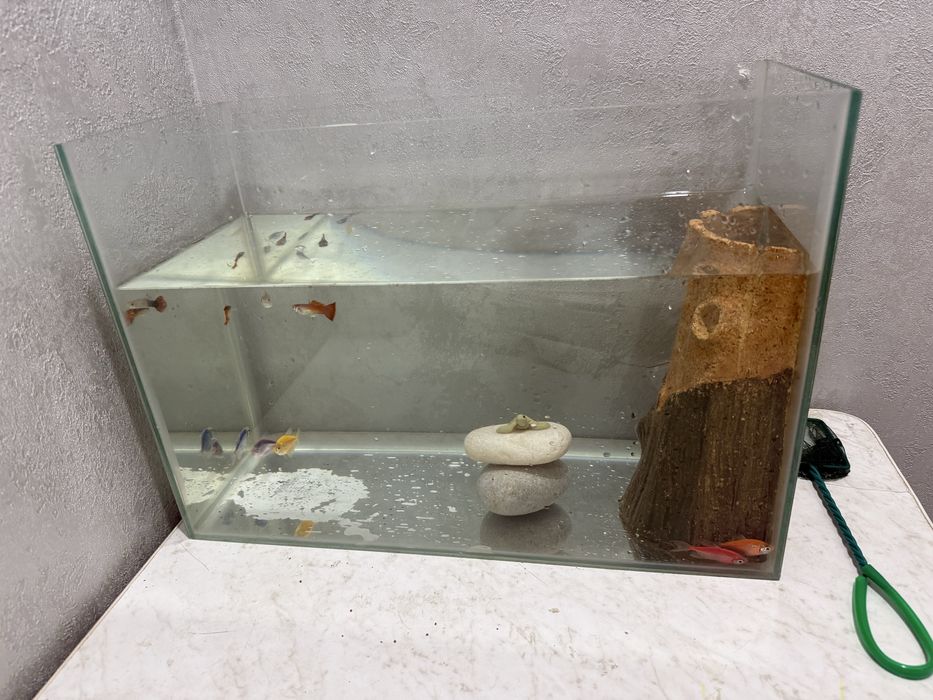 Продам аквариум с 9 рыбками