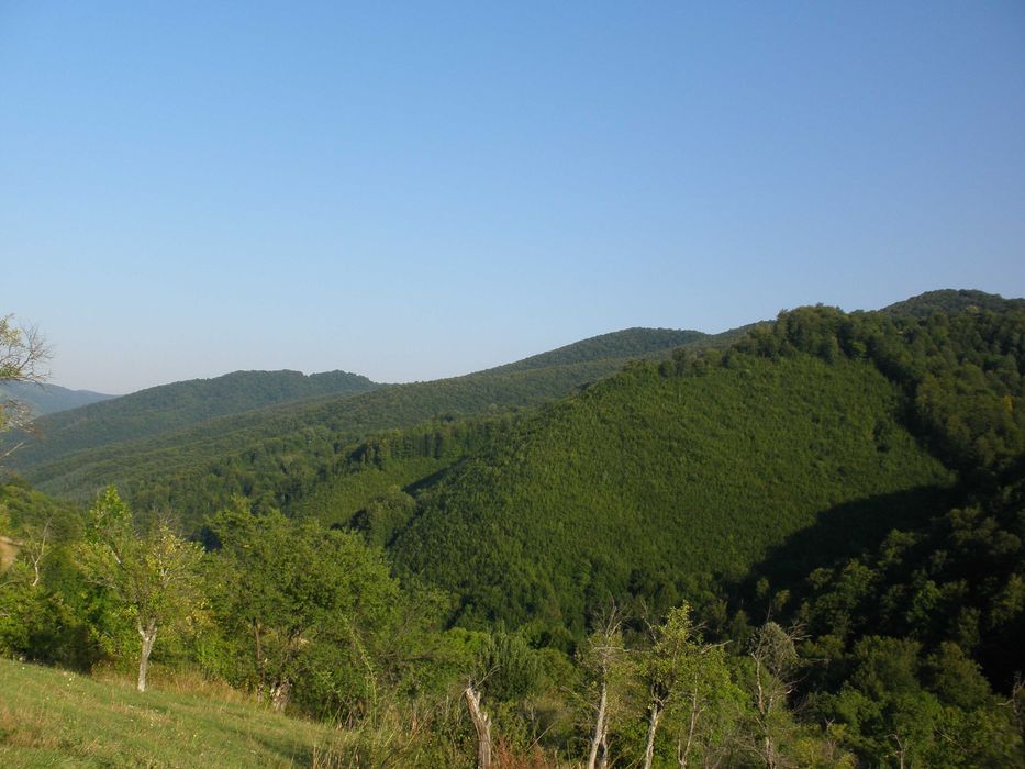 Продава се Парцел в с. Рибарица, Област Ловеч - 780 кв.м за 11 €/кв.м - Снимка #3