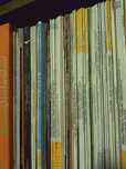Discuri   de vinil