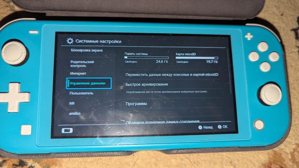 Nintendo switch lite