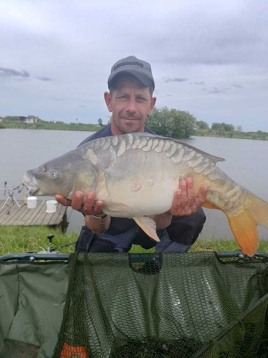 Vand boilies de calitate.