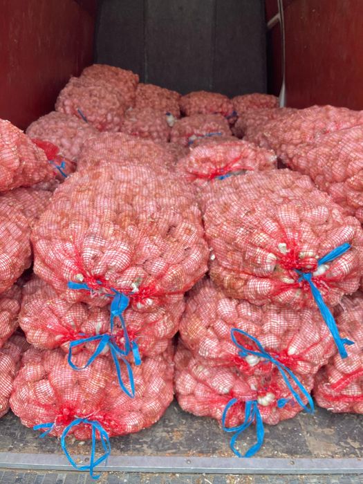 Vand usturoi de samanta