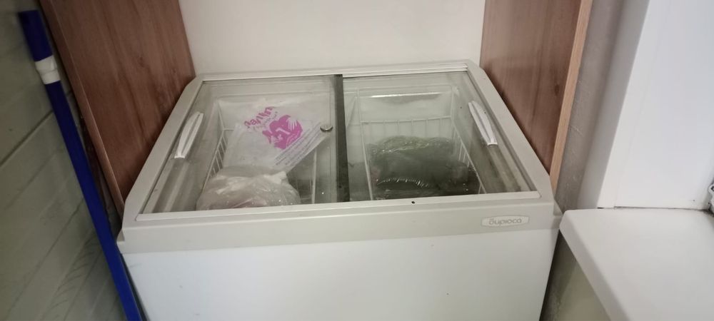 Продам ларь, морозильная витрина