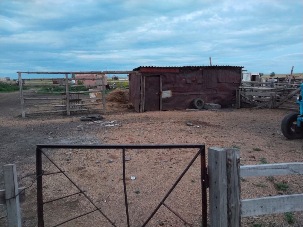 Продается дом село Жалгызкарагай