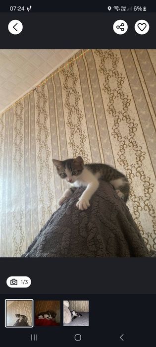 Срочно маленький мальчик три месяца