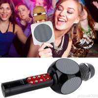Sistem karaoke OFERTA 2 bucati! Duet party distractie