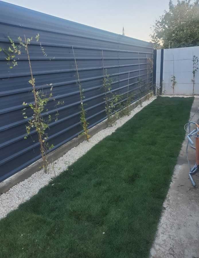 Gazon Natural pentru Amenajări Peisagistice