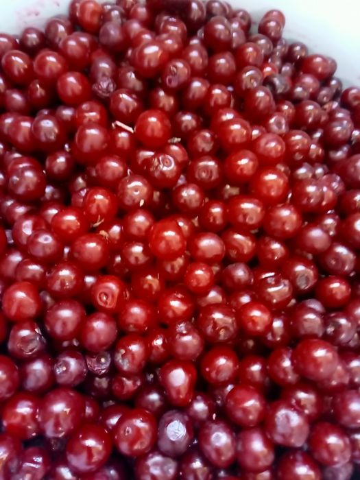 Продаю вишню,спелая ,вкусная