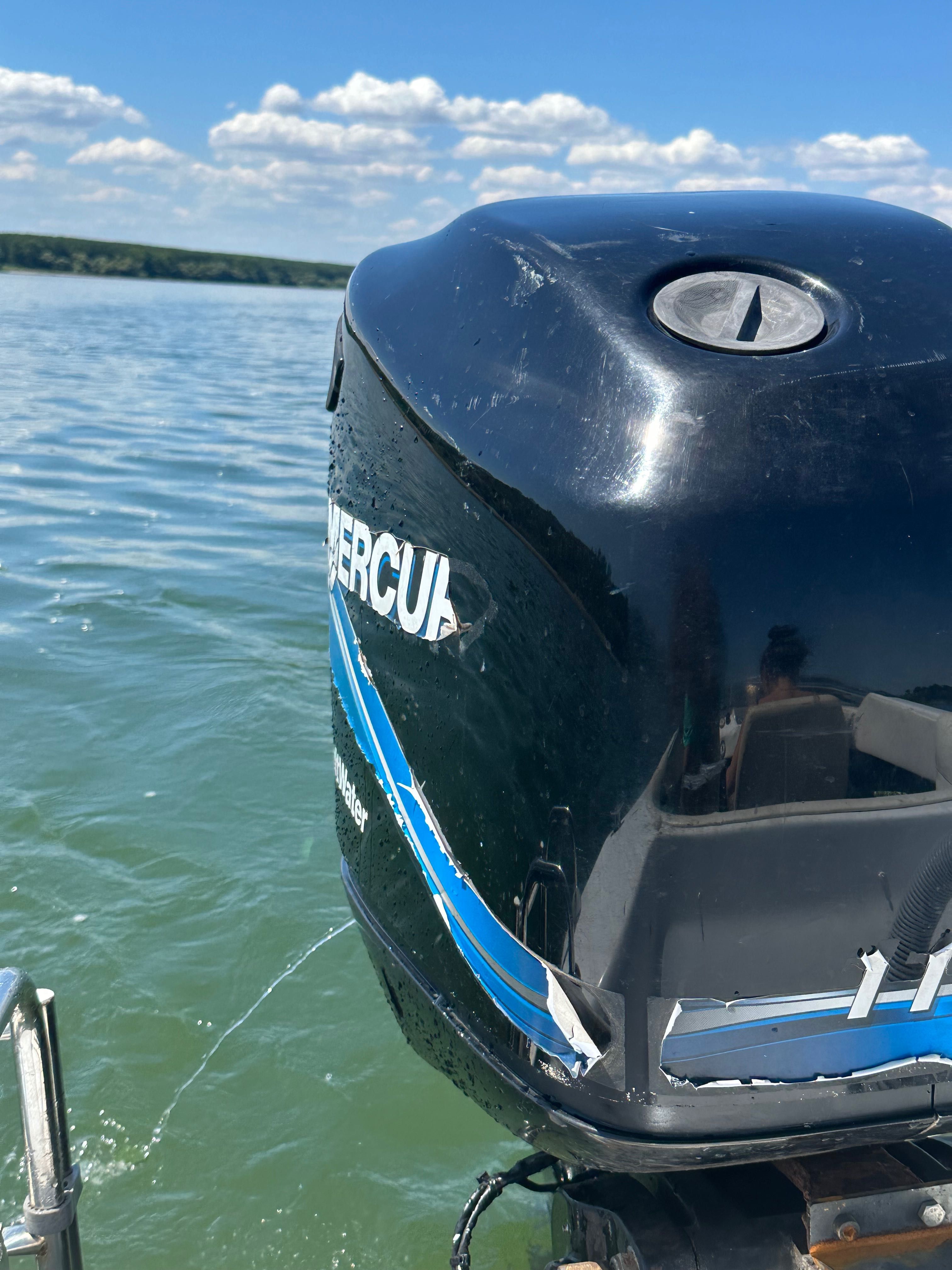 Mercury 115 optimax