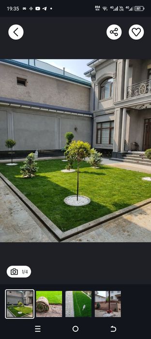 Savdonik Boğbon xizmati