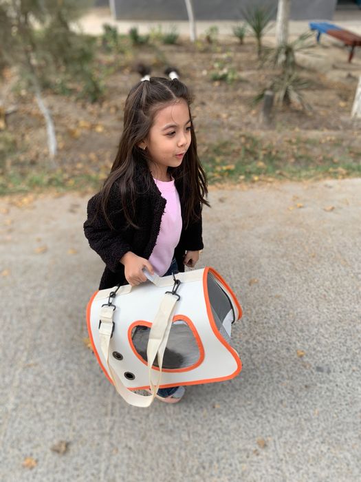 Продается котенок