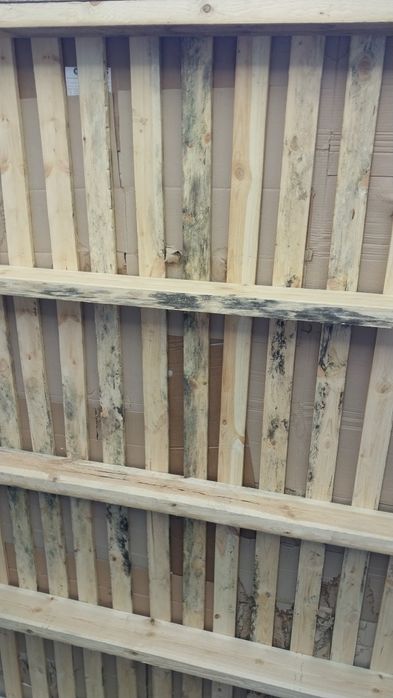 Unversal ustalar Samarkand shahar