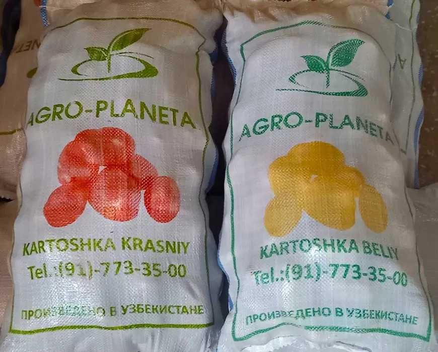 Kartoshka Piyoz Optom