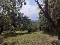 Teren vanzare Comuna Sotrile, Valea Prahovei