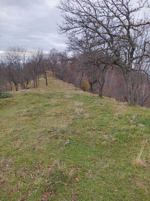 Teren de vanzare extravilan