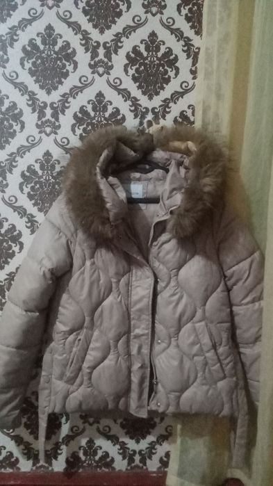 Kalta kurtka sotiladi