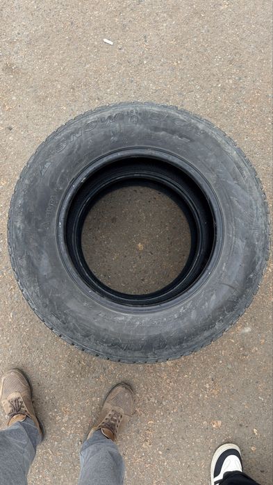 Зимняя Резина трианжел