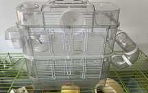 Cusca hamster RODY 3