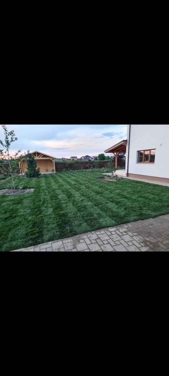 Gazon rulou sport premium și sistem automat de irigație