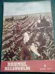 Drumul Belsugului 1955