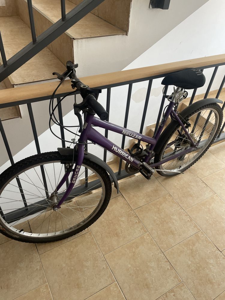 Bicicleta fete mov