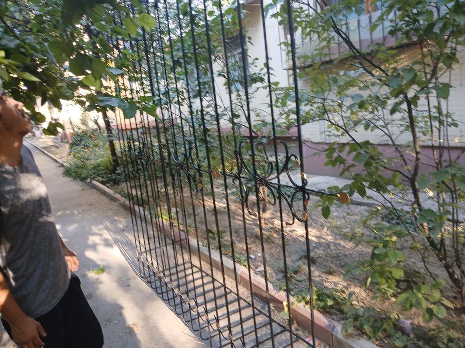 Reshotka kazirok naves toshkent shahar buylab 3-kunda