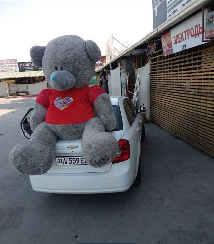 Teddy SKIDKA 20%