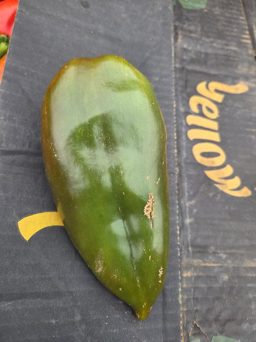 Vând ardei kapia verde