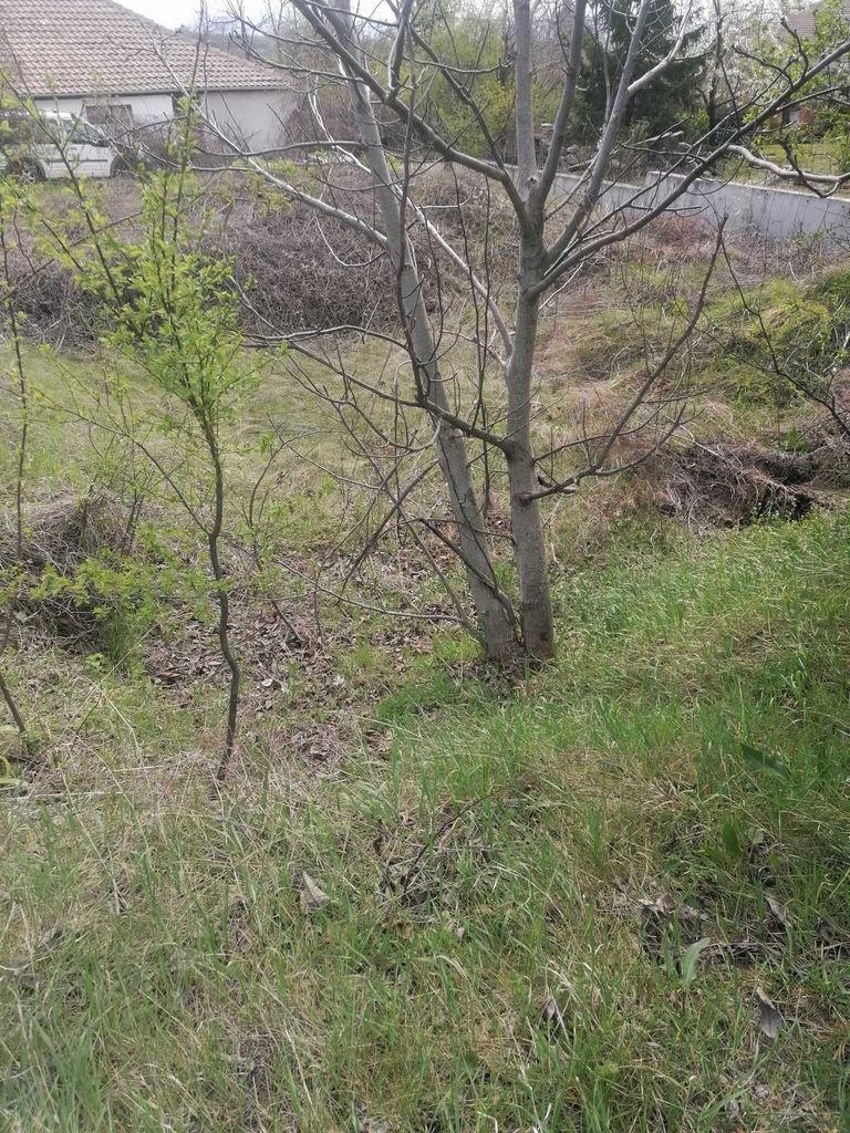 Продава се Парцел в с. Беляковец, Област Велико Търново - 905 кв.м за 55 €/кв.м - Снимка #6