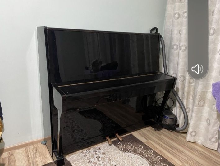 Пионино Октава цвет черный