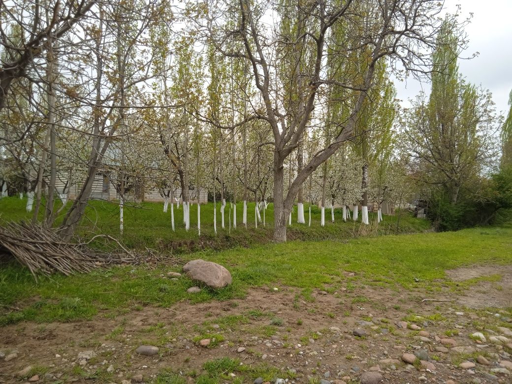 Продается земельный участок,для Дачи самое то.