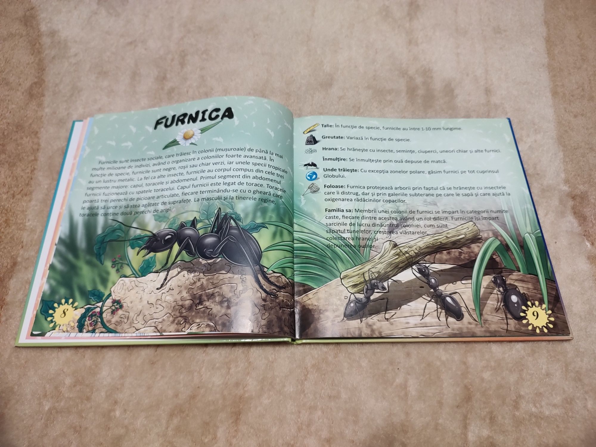 Carte Prima mea enciclopedie - Insecte