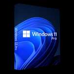 Windows 11 Pro OEM KEY