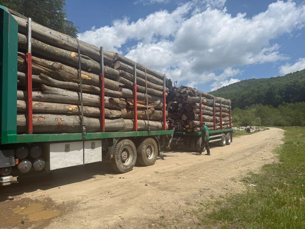 Vând lemn de foc esență tare verde și uscat  posibilitate de transport